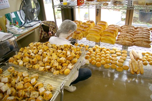 f:id:akinosato:20111028130941j:image