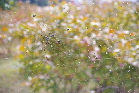f:id:akinosato:20111028131827j:image