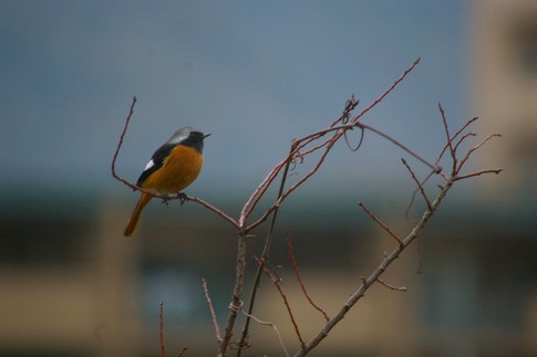 f:id:akinosato:20111212085049j:image f:id:akinosato:20111212085049j:image