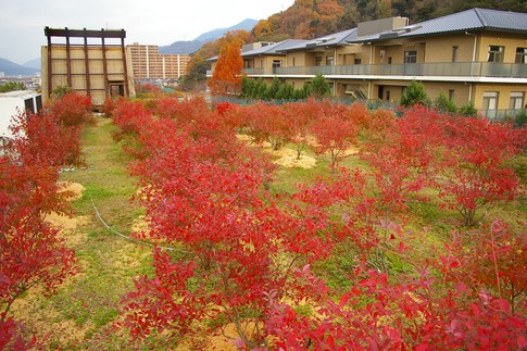 f:id:akinosato:20111212153531j:image f:id:akinosato:20111212153531j:image