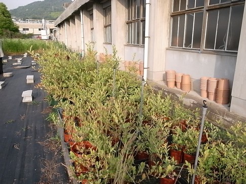 f:id:akinosato:20120530174852j:image