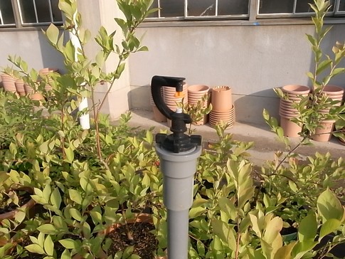 f:id:akinosato:20120530175059j:image