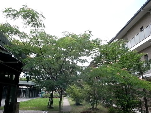 f:id:akinosato:20120622133951j:image