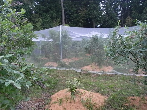 f:id:akinosato:20120624175632j:image