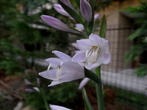 f:id:akinosato:20120709190341j:image