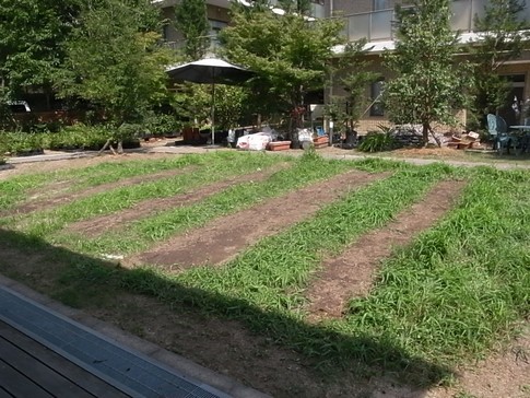 f:id:akinosato:20120726150704j:image f:id:akinosato:20120726150704j:image