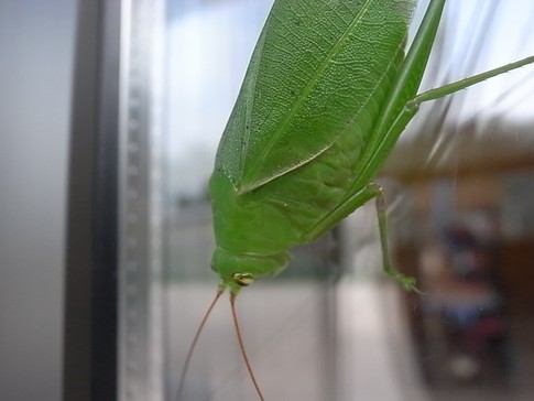 f:id:akinosato:20120904085328j:image