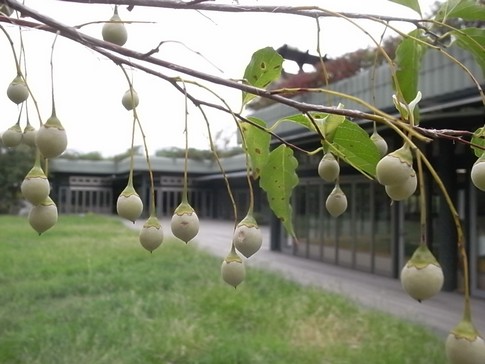 f:id:akinosato:20120913103147j:image