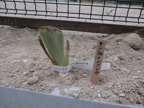 f:id:akinosato:20120914174955j:image f:id:akinosato:20120914174955j:image