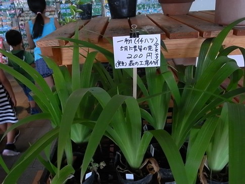 f:id:akinosato:20120916132948j:image
