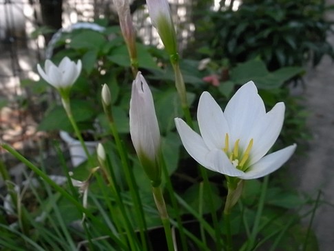 f:id:akinosato:20120921115524j:image