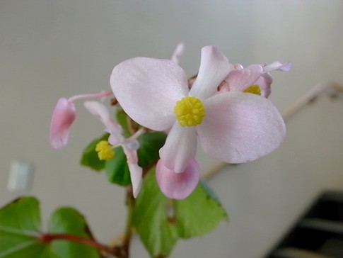 f:id:akinosato:20121012154625j:image