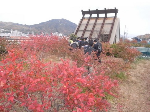 f:id:akinosato:20121206114224j:image f:id:akinosato:20121206114224j:image