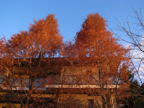 f:id:akinosato:20121206170207j:image f:id:akinosato:20121206170207j:image