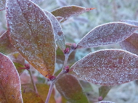 f:id:akinosato:20121213091224j:image f:id:akinosato:20121213091224j:image