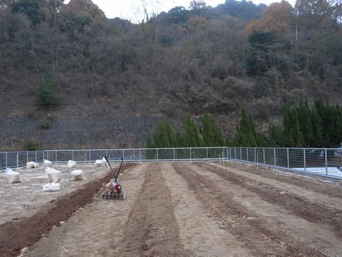 f:id:akinosato:20121214164706j:image