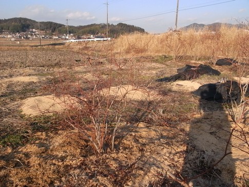 f:id:akinosato:20130112162338j:image