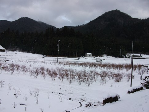 f:id:akinosato:20130115155517j:image