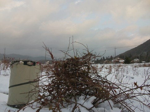 f:id:akinosato:20130115165724j:image