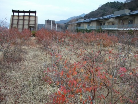 f:id:akinosato:20130117142453j:image