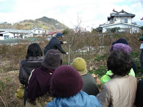f:id:akinosato:20130120135335j:image