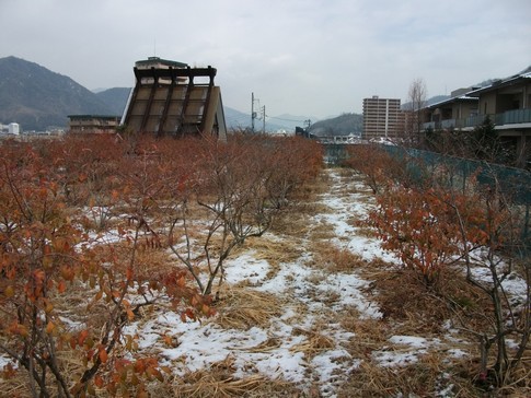 f:id:akinosato:20130129110104j:image