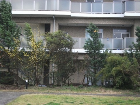 f:id:akinosato:20130319085522j:image