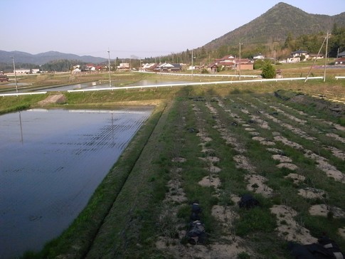 f:id:akinosato:20130506173046j:image