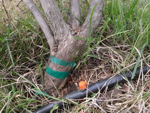 f:id:akinosato:20130606125842j:image f:id:akinosato:20130606125842j:image