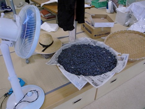 f:id:akinosato:20130621105415j:image