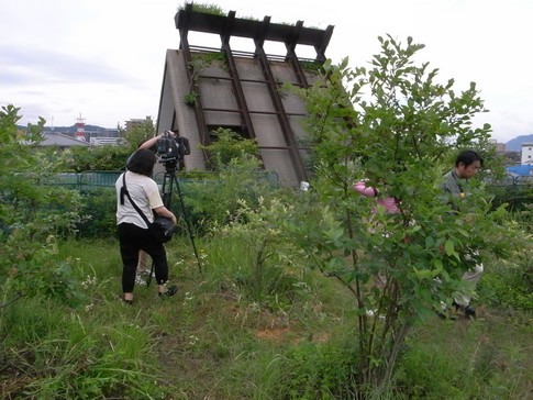 f:id:akinosato:20130627095903j:image