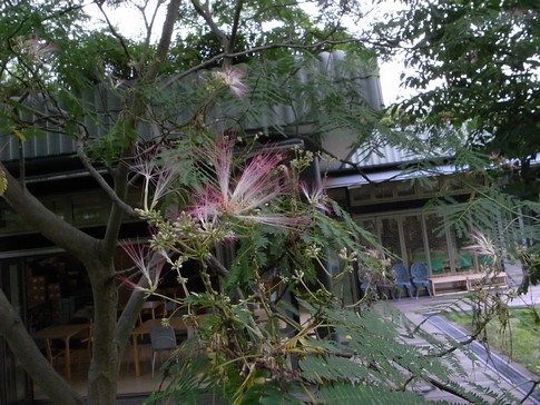 f:id:akinosato:20130628093014j:image