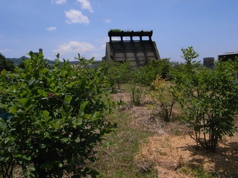 f:id:akinosato:20130712124743j:image f:id:akinosato:20130712124743j:image