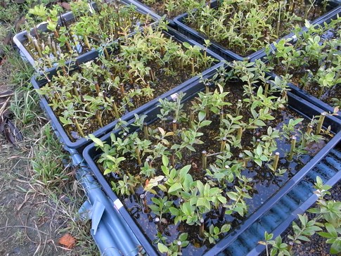 f:id:akinosato:20130904162605j:image f:id:akinosato:20130904162605j:image