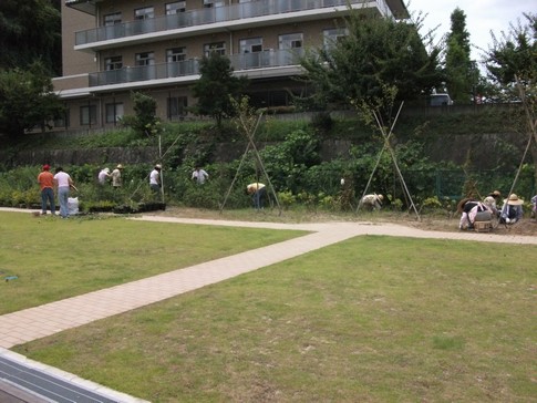 f:id:akinosato:20130907105943j:image