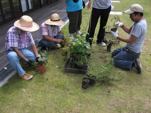 f:id:akinosato:20130907110243j:image