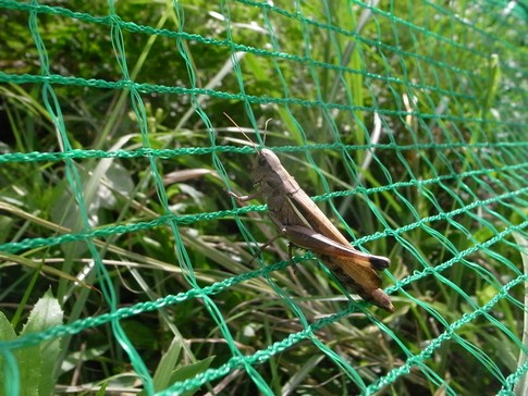 f:id:akinosato:20130908121815j:image f:id:akinosato:20130908121815j:image