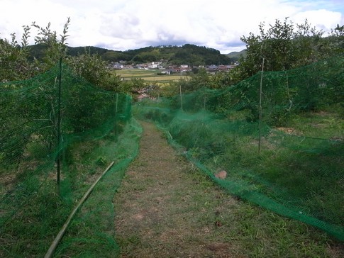 f:id:akinosato:20130908122443j:image f:id:akinosato:20130908122443j:image