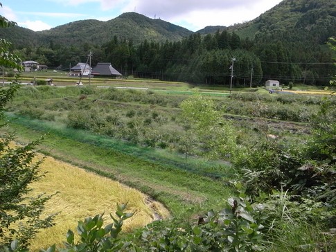 f:id:akinosato:20130908122637j:image f:id:akinosato:20130908122637j:image