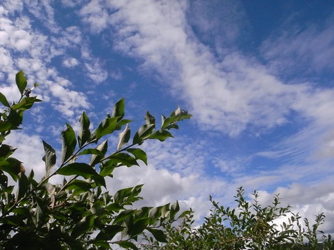 f:id:akinosato:20130908140912j:image f:id:akinosato:20130908140912j:image