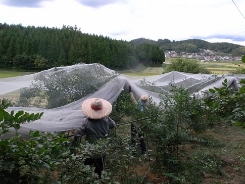 f:id:akinosato:20130908141851j:image f:id:akinosato:20130908141851j:image