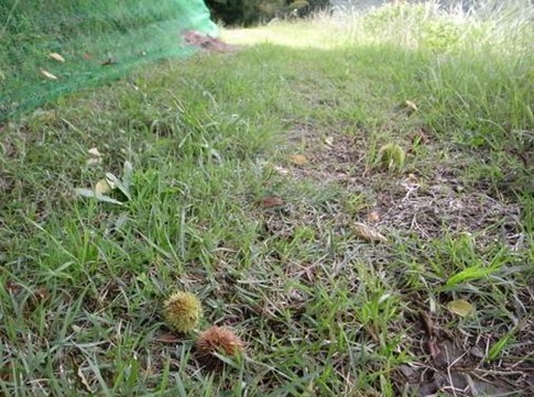 f:id:akinosato:20130908211831j:image f:id:akinosato:20130908211831j:image