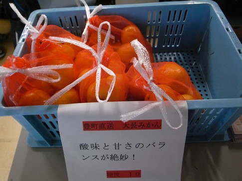 f:id:akinosato:20131114163337j:image