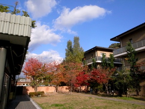f:id:akinosato:20131119150347j:image