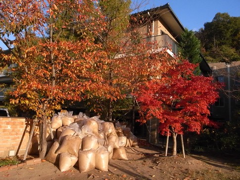 f:id:akinosato:20131122160011j:image f:id:akinosato:20131122160011j:image