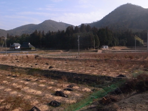 f:id:akinosato:20140201214400j:image
