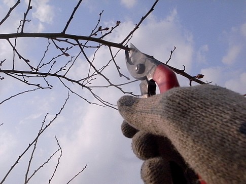 f:id:akinosato:20140316144655j:image