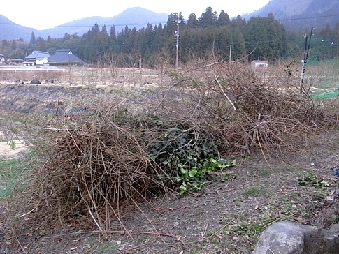 f:id:akinosato:20140316170817j:image