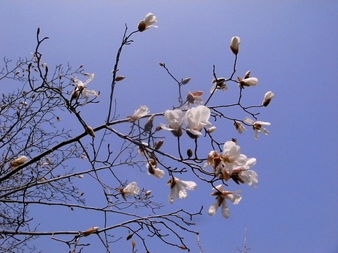 f:id:akinosato:20140319102729j:image
