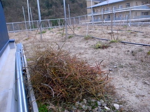 f:id:akinosato:20140319174720j:image